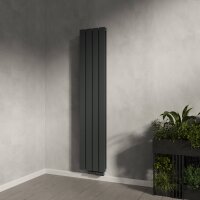 H08 LAVA ECO Vertikal Doppellagig Anthrazit 30 x 160 cm...