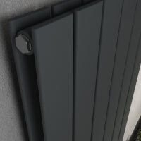 H08 LAVA ECO Vertikal Doppellagig Anthrazit 30 x 120 cm...