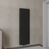 H09 RILA Schwarz 50 x 160 cm Paneelheizkörper...