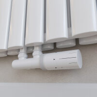 H11 TAYLOR Horizontal Doppellagig Weiß 120 x 60 cm Paneelheizkörper Mittel- und Seitenanschluss